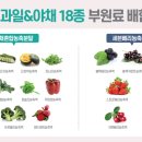 생기365 - 서구 운천로 213 | 생기365