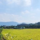 김해투자공인중개사사무소 이미지