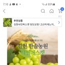 한솔전동차 이미지