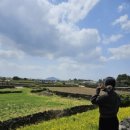 별방진하우스 이미지