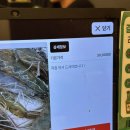 생생새우 | 강남역 횟집 삼해 수산(feat. 생새우회 생생후기)