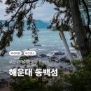 해운대석각 | 부산 바다여행 필수 코스! 해운대 동백섬 해안 산책로 가는법 주차장