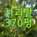 정선영농장 이미지