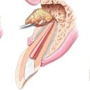 새망미메디칼빌딩 이미지