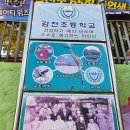 감천초등학교유치원 이미지