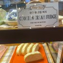 퍼지타운