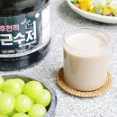분리유청단백질 추천 WPI 프로틴 초코맛 보충제 지그미선물