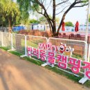 강아지놀이터 네이버블로그