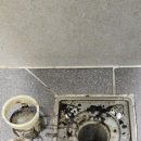 갈마아파트3단지31880) | 삼성크린의 대전입주청소 대전 서구 갈마동 갈마아파트 3단지 입주청소 후기