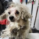 현대성우캐스팅1공장 이미지