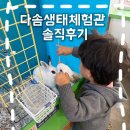 생태체험관 | 대구.경산 아기랑 가볼만한곳 다솜생태체험관 솔직후기(주차,체험내용)