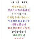 6일 식당 이미지