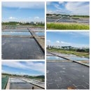 갯골생태공원(소금창고) 이미지