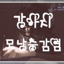 녹양동물병원 이미지