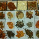 밥상술상 이미지