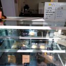 크림이네 간식공방 | 창원 신월동 빵집 경주당 후기｜쫄깃한 순수우유 크림빵 맛집 다녀왔어요