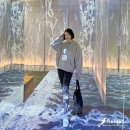 차지혜미용실