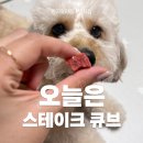 예스몽 | 반려견간식, 기호성 좋은 소형견간식 추천 예스몽 오늘은 스테이크 큐브