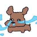 헤어이안
