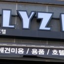 젤리즈펫 이미지