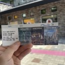 천곡천연동굴 | 동해여행 필수코스 :도심 속 천곡동굴 후기