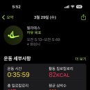 오늘도 FIT 이미지