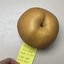 권대식의 참치회방꾼 네이버블로그
