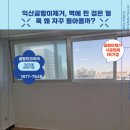 LG전자(주)익산지점 | 익산곰팡이제거, 벽에 핀 검은 얼룩 왜 자꾸 돌아올까? 💧