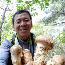 상대마을(향기마을) 이미지