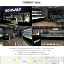 도그웨이 청주점 이미지