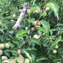 홍의동농장 이미지