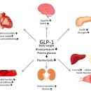 나온의원 이미지