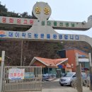 대이작_해양생태관 Daum카페