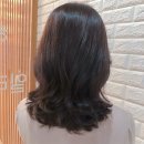 리즈앤코 이미지