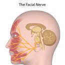 은한의원 이미지