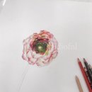 예쁜꽃그리기(보테니컬아트) 이미지