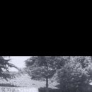 담양읍사무소 이미지