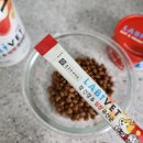 (주)종근당바이오 | 강아지유산균 심장영양제 종근당 바이오 라비벳