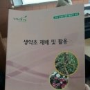 생약초 이미지