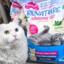 낙동강물환경연구소 | 고양이 모래 추천 갸르릉연구소 100% 카사바 먼지없는모래 내돈내산 솔직후기