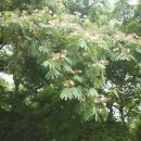 화정박물관 이미지