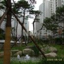 도곡1-103 이미지