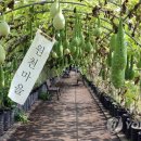 결성면 원천마을회관 이미지