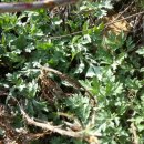 앞뜰농장 이미지