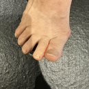 운동이끌림