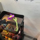 따따따스튜디오 이미지