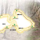 숲속으로 이미지