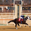 부산경남클린 뉴시스