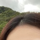 영광당 - 정선군 무릉1로 110-1 | 신대방역 미용실 쏭살롱 뿌염 레이어드 커트 내돈내산 후기