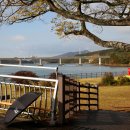 수변공원(1) 이미지